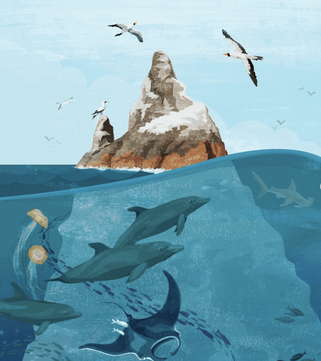 Kerry Hyndman, Sea life with Seagull and ocean creatures by Kerry Hyndman.